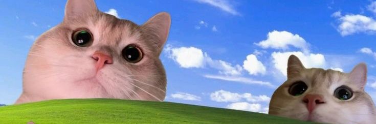 Clarenn²⁵ Lolos UTBK 2026 banner