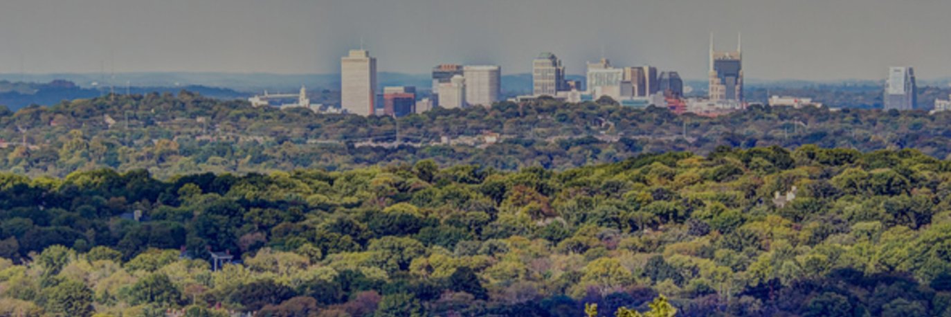 abouldin's profile banner image