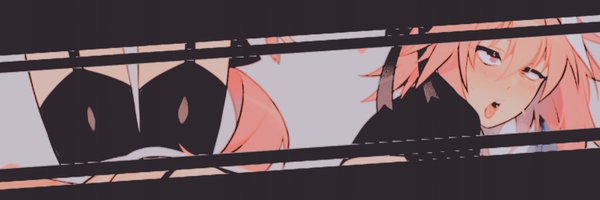 PALADINL0VE Profile Banner