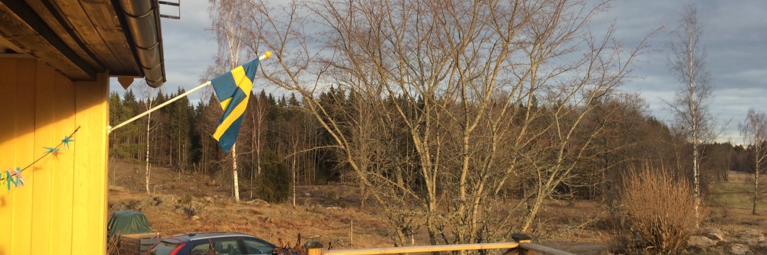 paulhakansson's profile banner image
