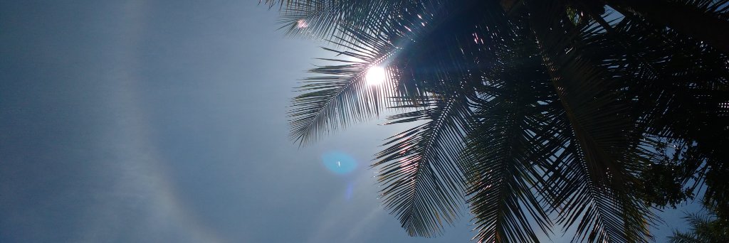 tanuism's profile banner image