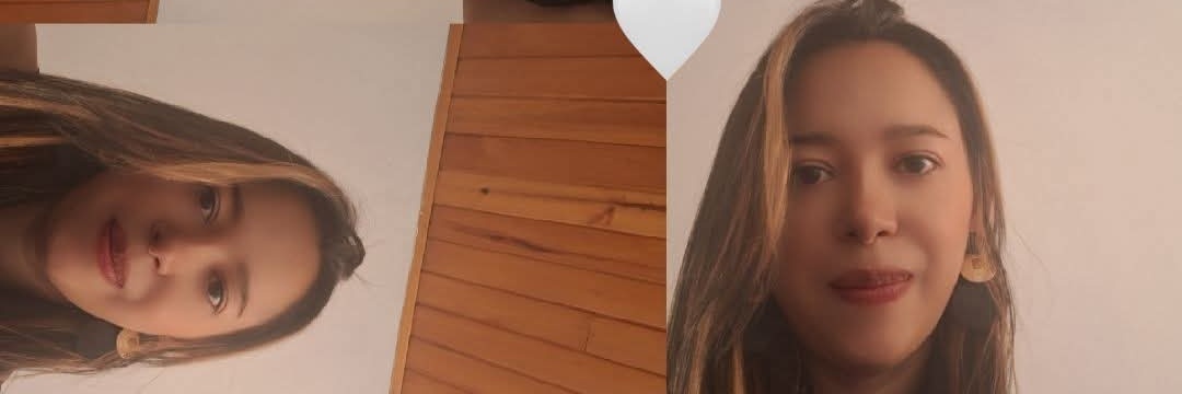 johanamenesesp's profile banner image