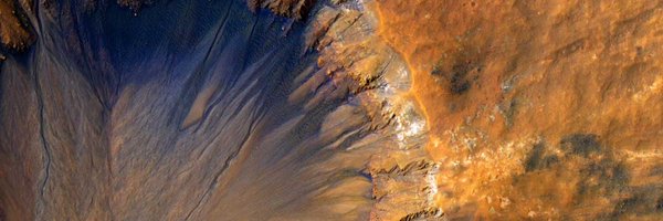 woodbines Profile Banner