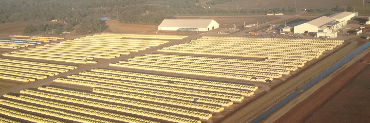 Kaitlin Leonard banner