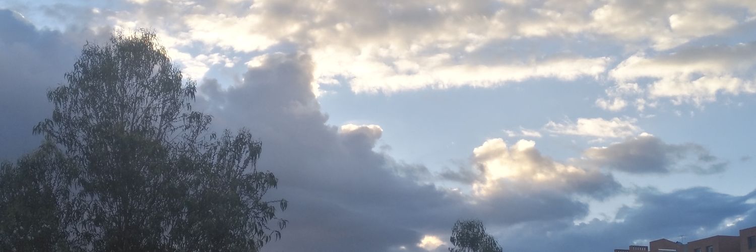 jprojas1965's profile banner image