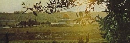 Hammaduni's profile banner image
