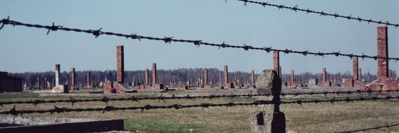 Victor Hawkins banner