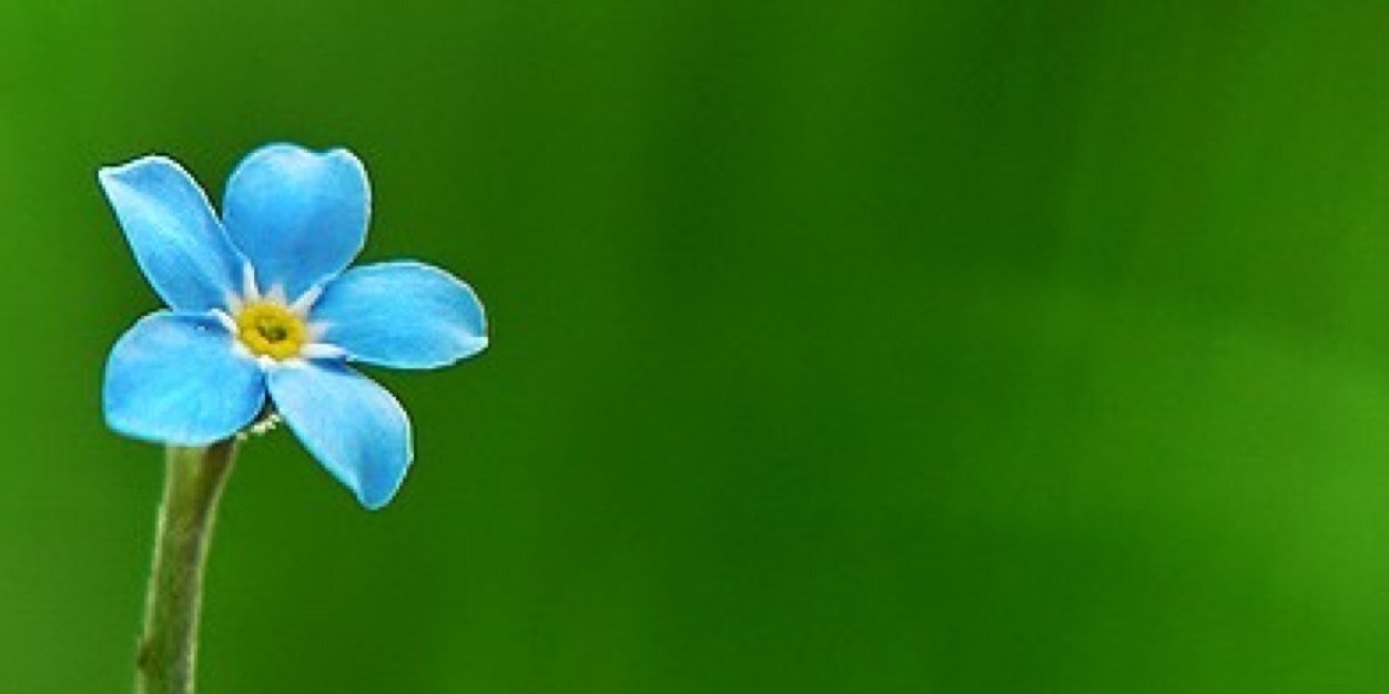 MVLainey's profile banner image