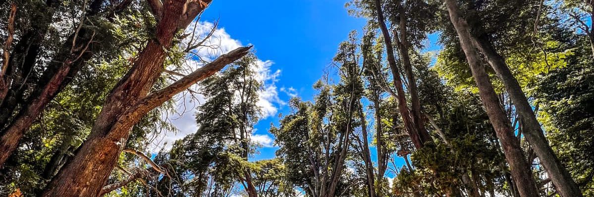delfipapaleo's profile banner image