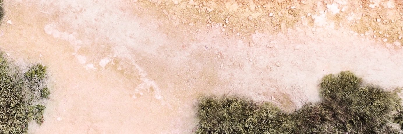 xnsensenx's profile banner image