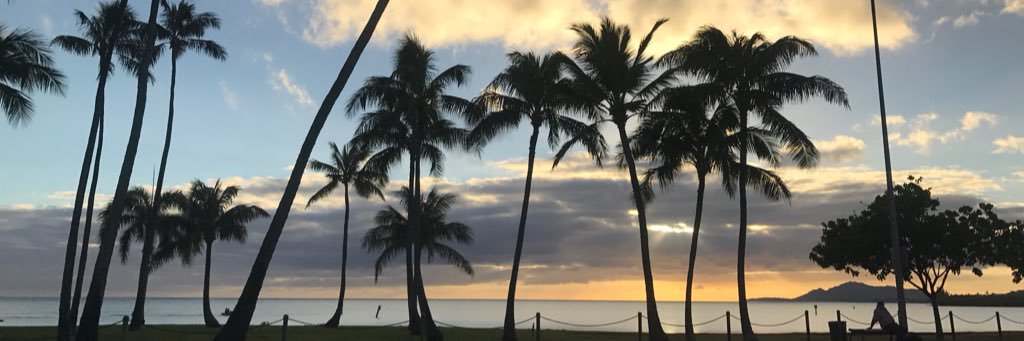 AdamCF8's profile banner image