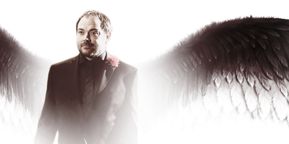 CrowlsKingDemon's profile banner image