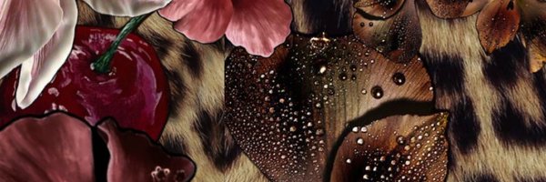 takoopii Profile Banner