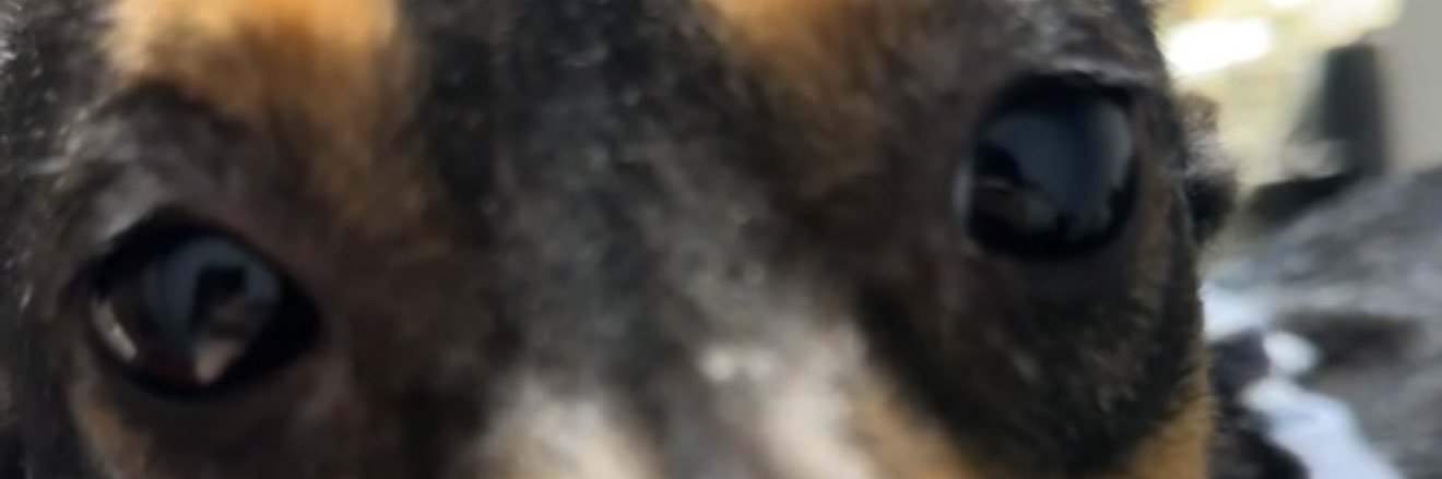 Fightir | Content Management banner