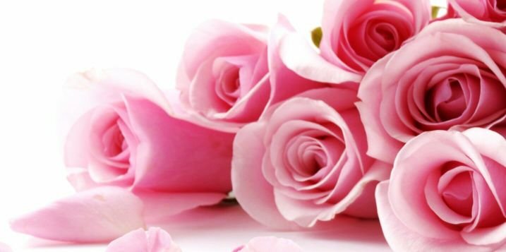 chekzaa's profile banner image