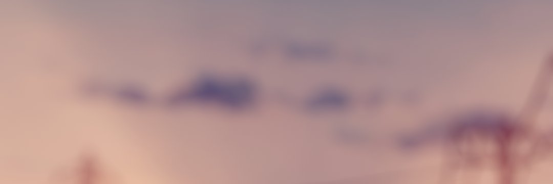 紫苑 SION banner