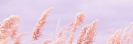 themilkk's profile banner image