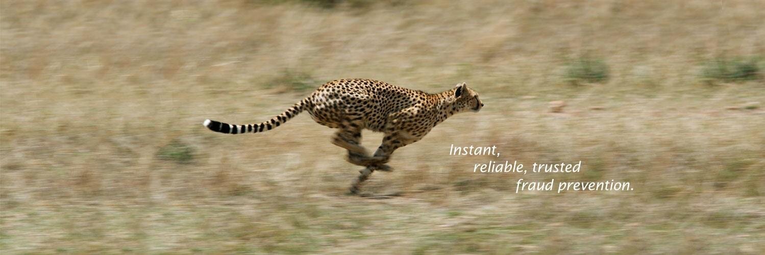 IrisAnalytics's profile banner image