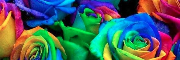 KatieLaPotin's profile banner image