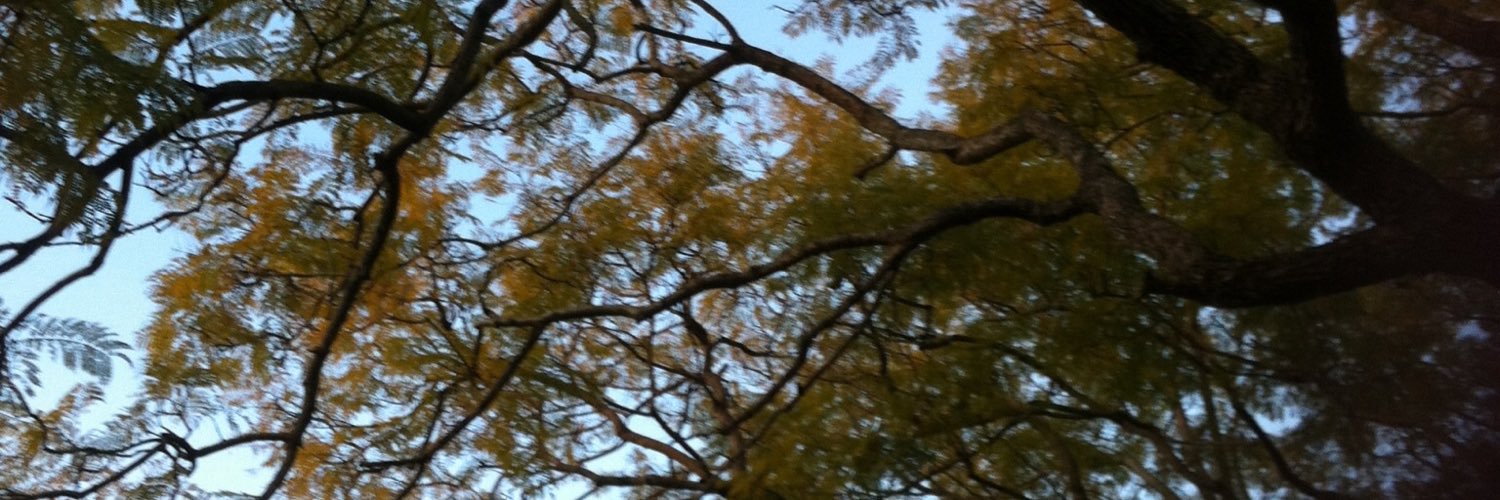 juliebryan57's profile banner image