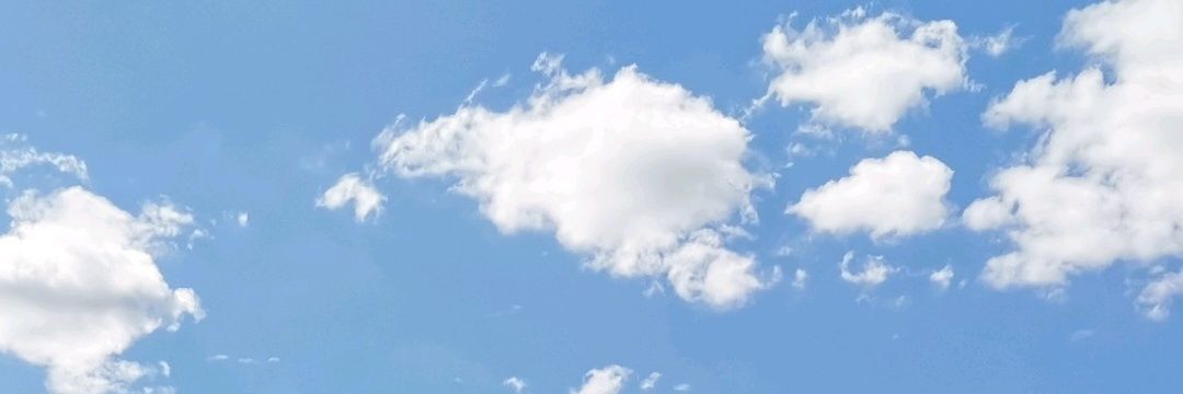 Alexandra Perrin banner