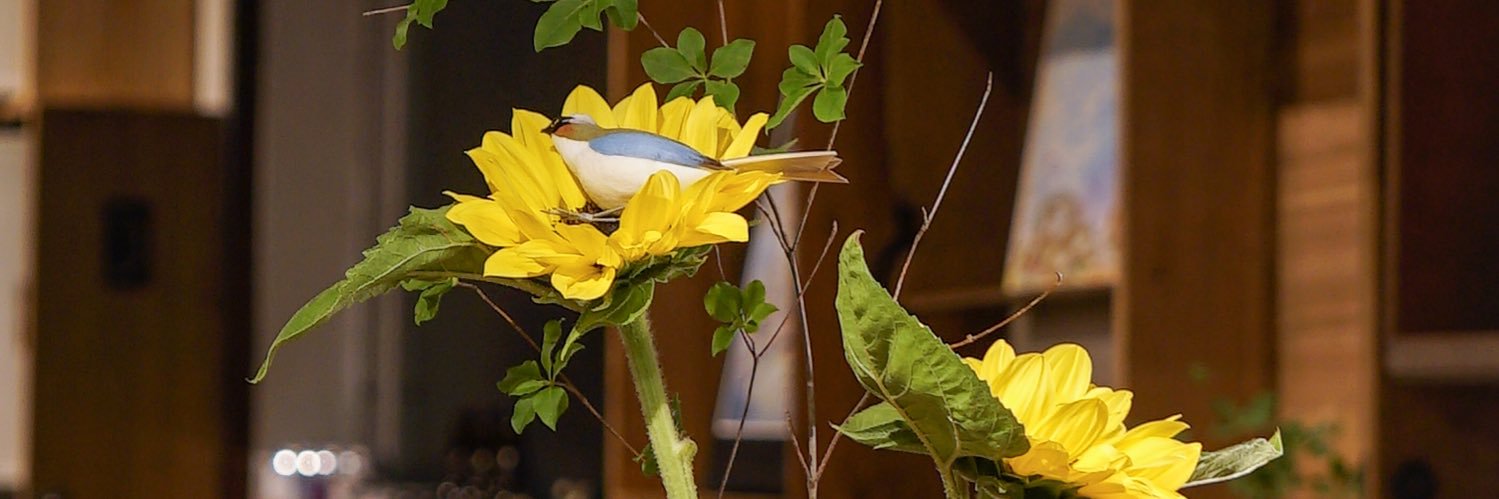 glint1496's profile banner image