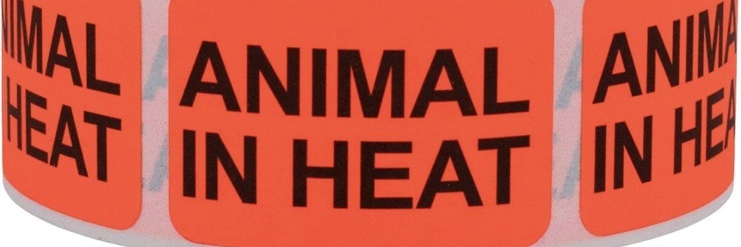 knottymeat's profile banner image