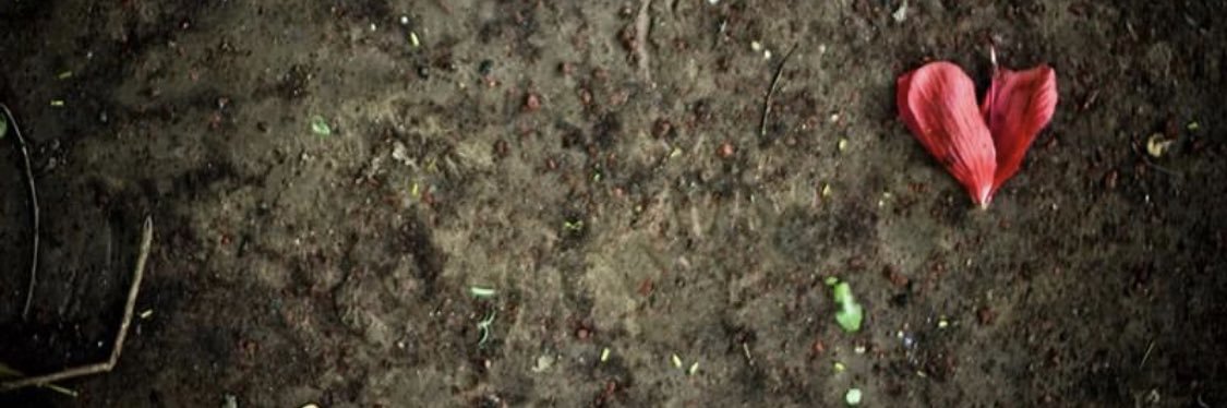 Bettina Culotta banner