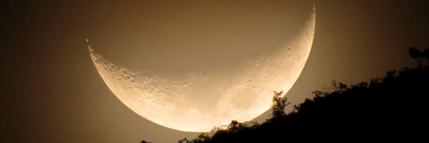 Isidro Nando Pestana banner