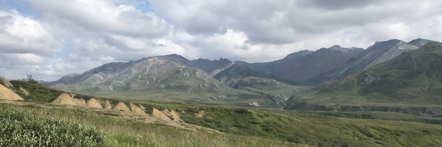 Mark Dankenbring banner