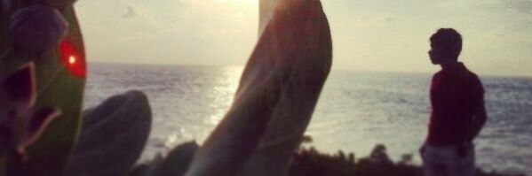 cesarviloriac's profile banner image