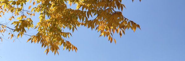 seolaa23 Profile Banner