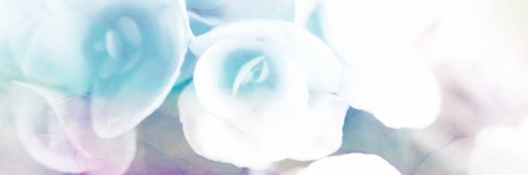 🌸🌙 banner