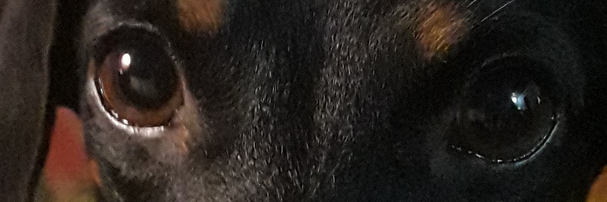 karinna04's profile banner image