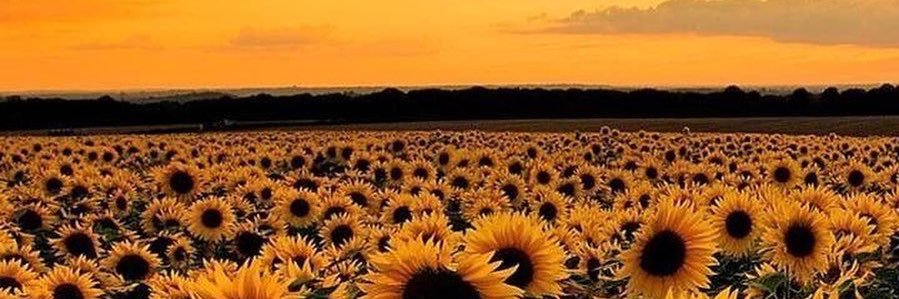 noon2726's profile banner image