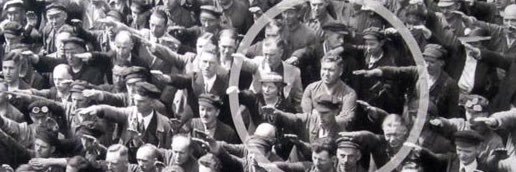 Political junkie banner