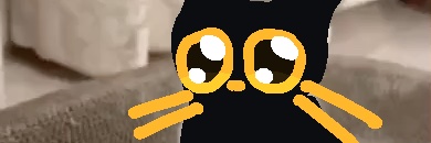 SoftStar1347's profile banner image