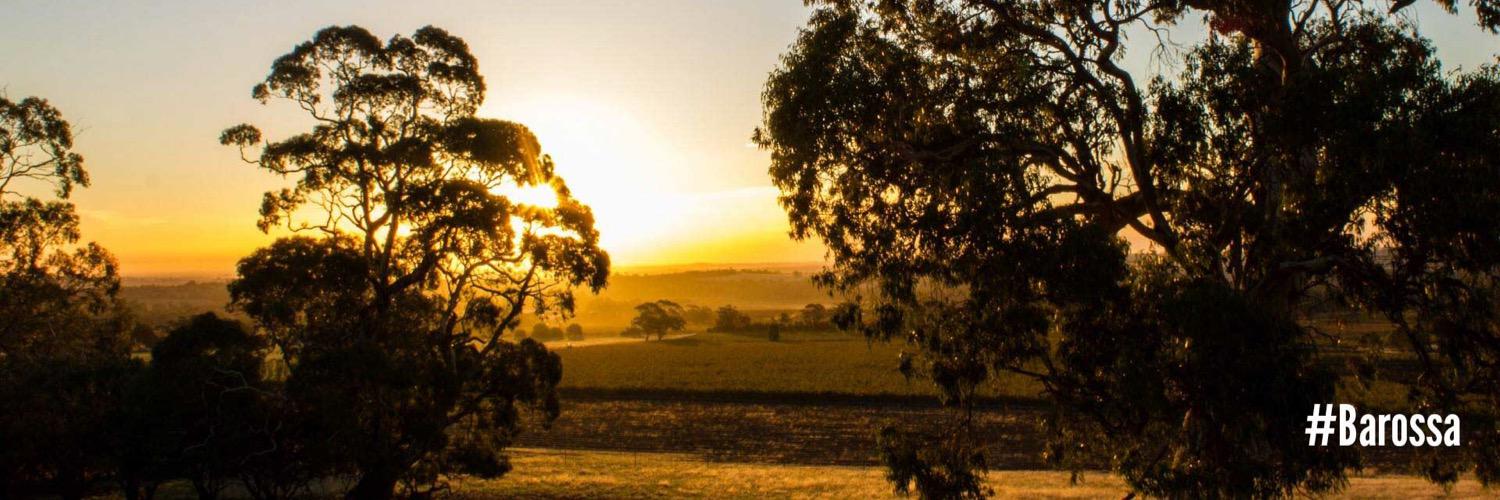 My Barossa banner