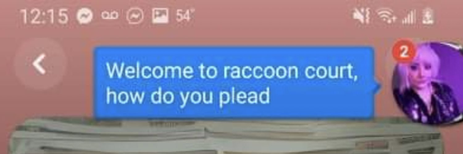 𝚜𝚌𝚘𝚞𝚝.𓆝 banner