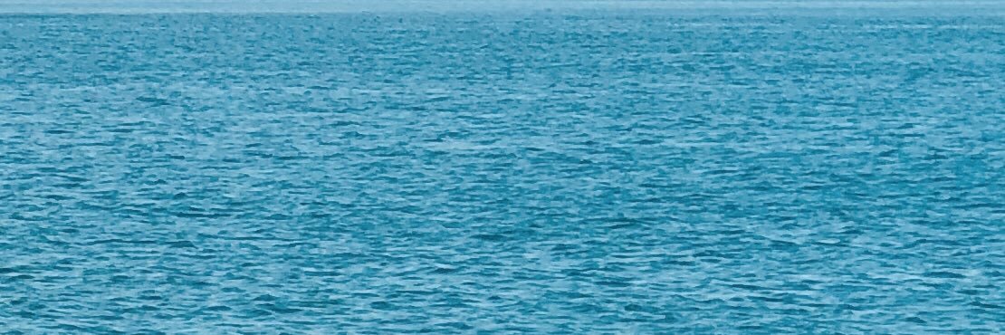cecyy98's profile banner image