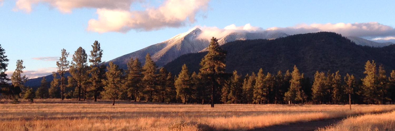 AYBegay's profile banner image