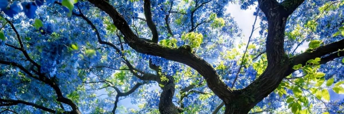 pShinya's profile banner image
