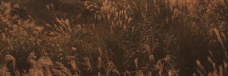 🐾CYRUS!🐾 banner