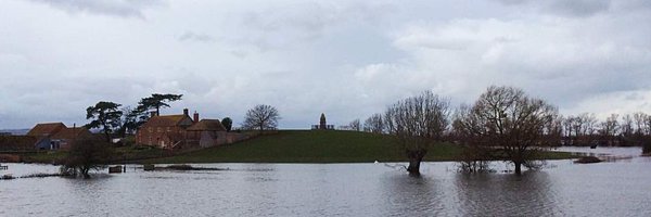 Towler Profile Banner