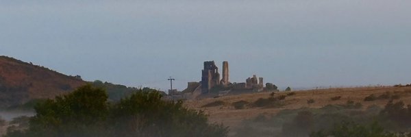 Towler Profile Banner