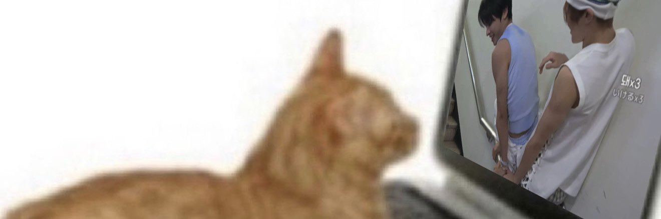 percy⭐️ banner