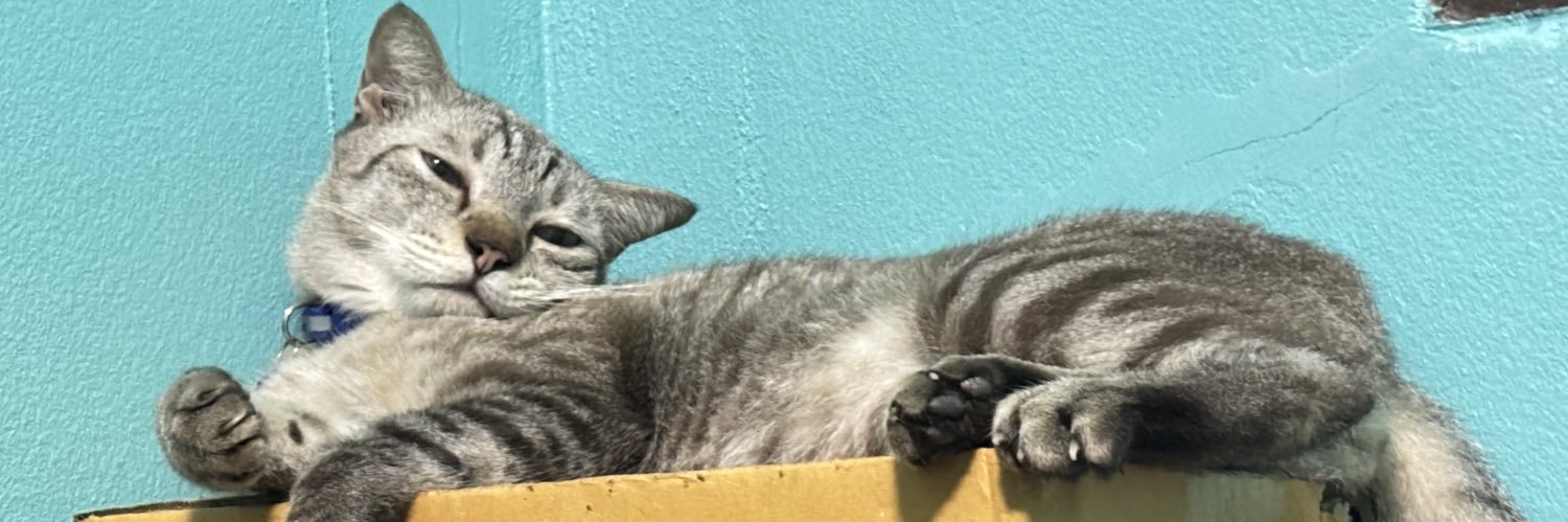 taomeow_'s profile banner image