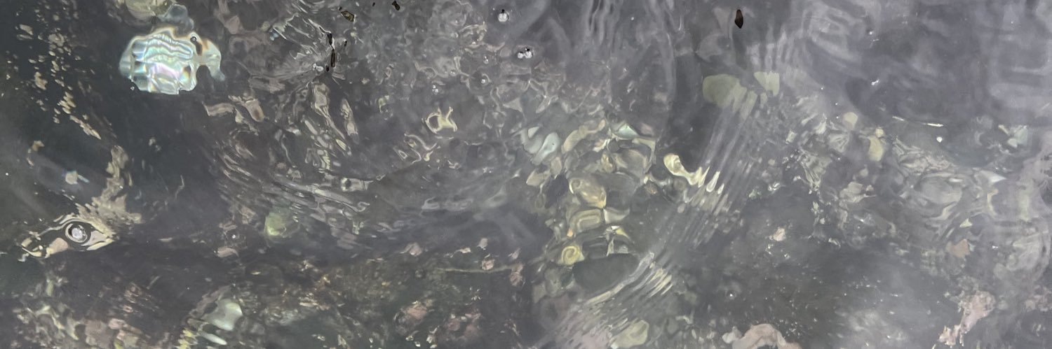 영화로울영 banner