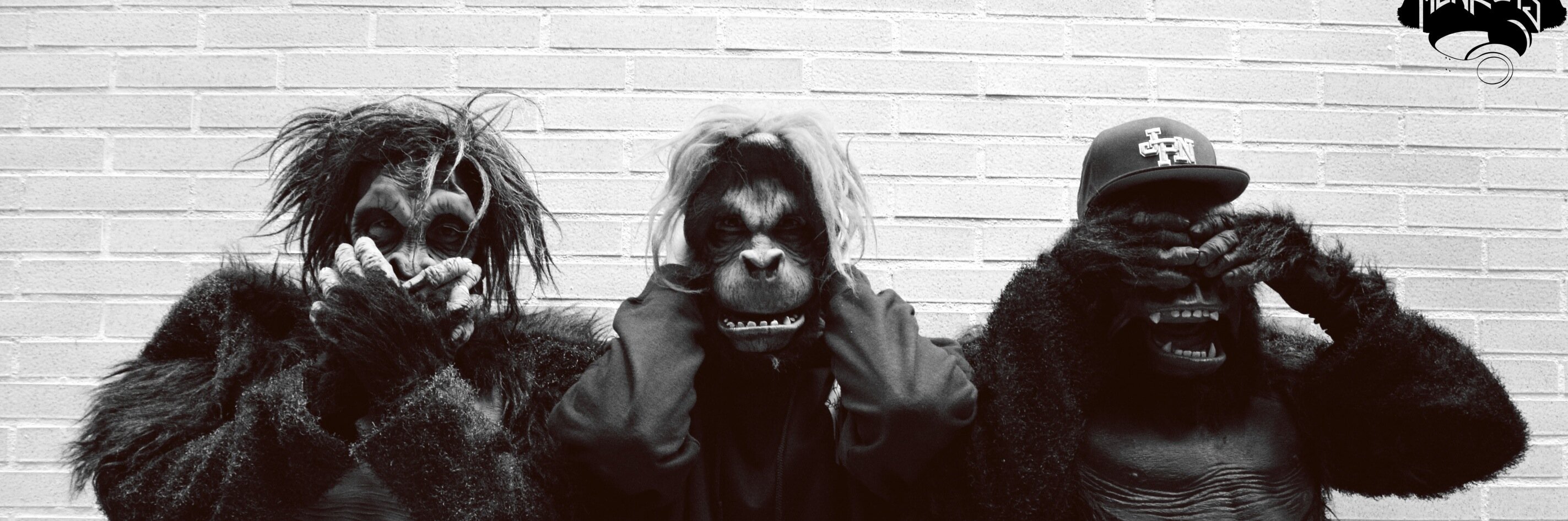 MadMonkeysOffic's profile banner image