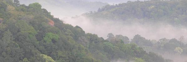 Jahnavijoshi2 Profile Banner